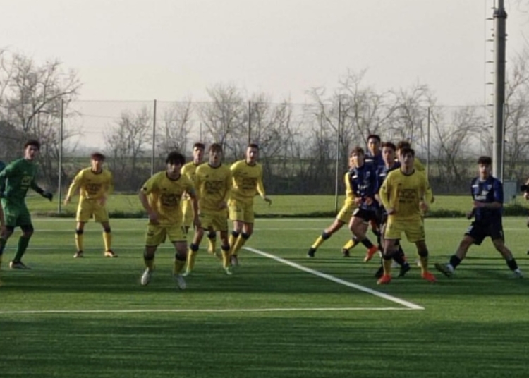 Foto Gruppo Facebook Modena Settore Giovanile