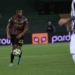 Foto Ternana Calcio