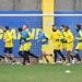 Foto Modena Fc