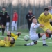 Foto Modena Fc