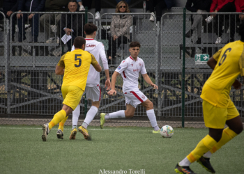 Foto Alessandro Torelli