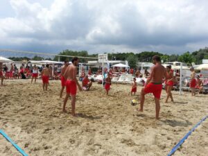 bovocampioni