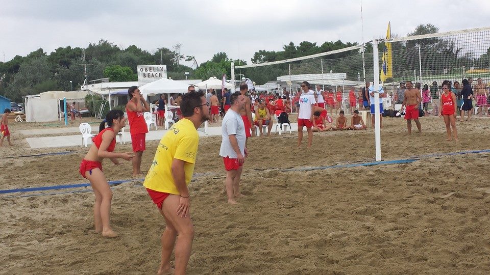 bovocampo
