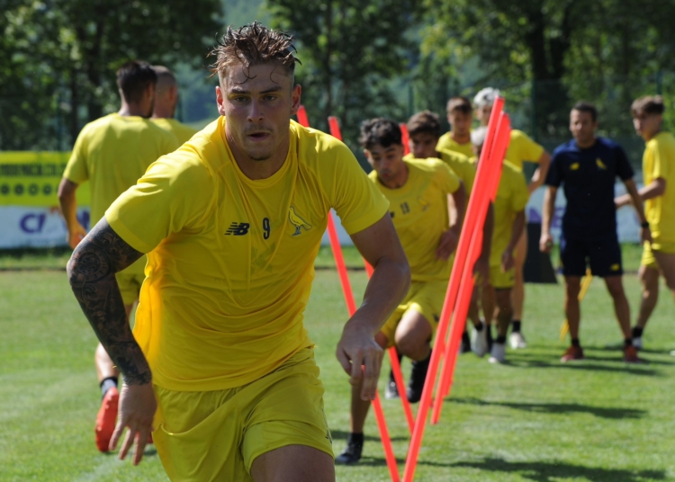 Foto Modena Fc