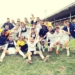Foto Modena Fc