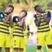 Foto Parma Calcio