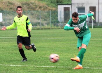 Marco Stefani torna al Real Dragone