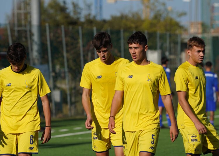 Foto Modena Fc