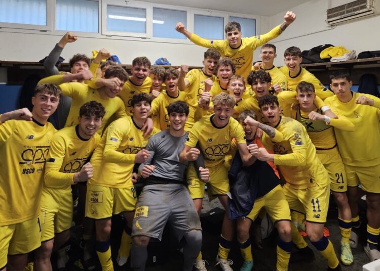 Foto Modena Fc