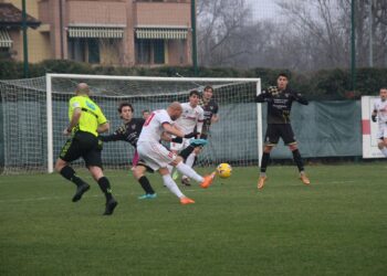 Luppi in Correggese-Terre di Castelli