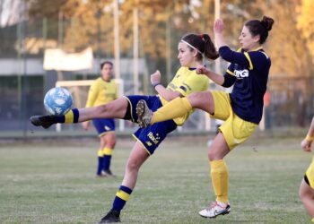 Foto Modena Fc