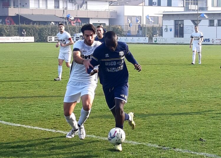 Rolo-Cittadella