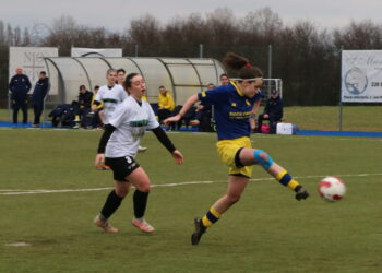 Foto Modena Fc