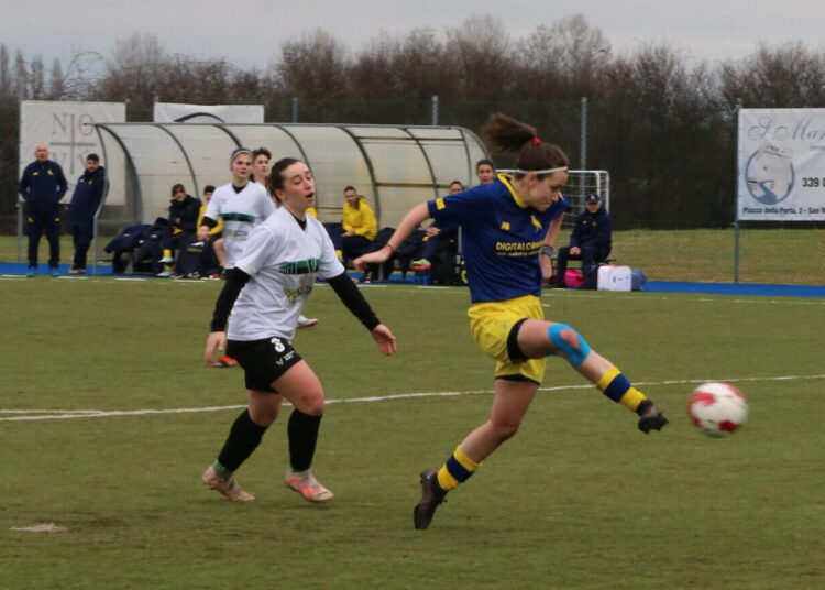 Foto Modena Fc