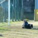 L'1-0 di Zito (ph. Amilcare)
