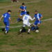 United Carpi-Bibbiano