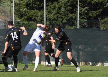 Vianese-Quarantolese 4-0