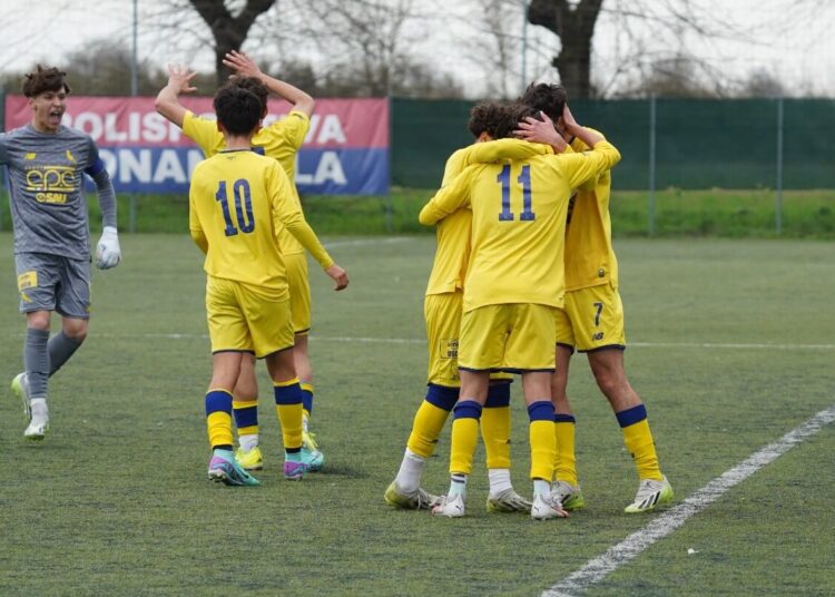 Foto Modena Fc