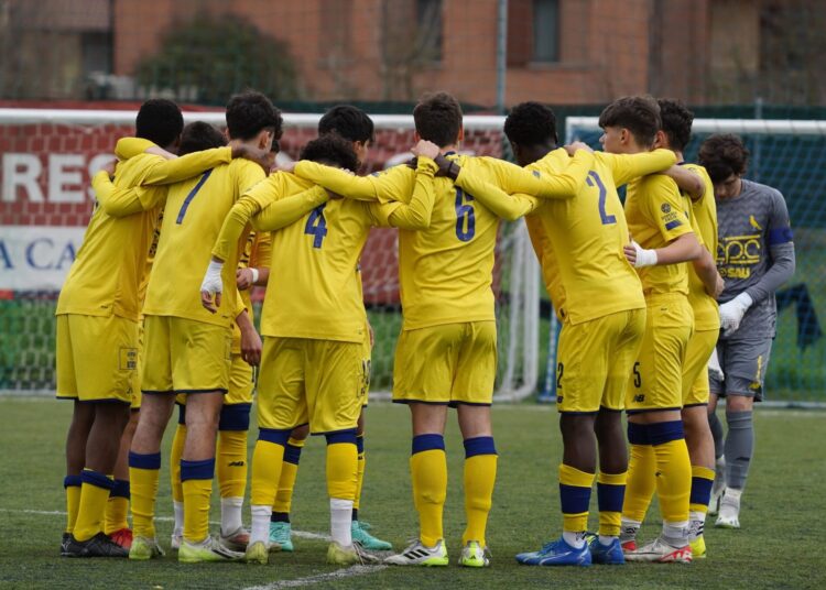 Foto Modena Fc