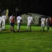 Unoted Carpi-Scandiano