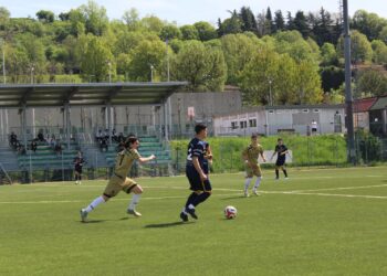 Nextgen-Cdr: Crispino Ziliani