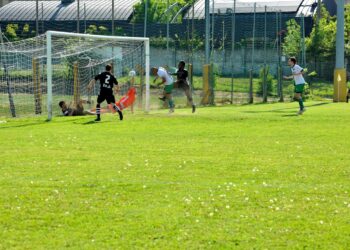 Il gol di Habib