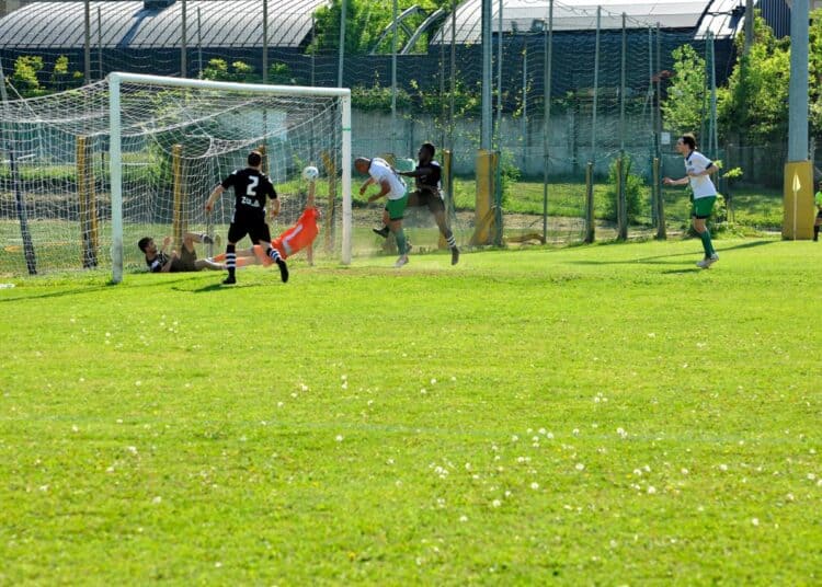 Il gol di Habib