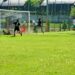 Il gol di Habib