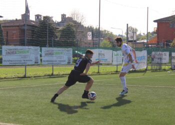 Terre di Castelli-V.Castelfranco: Scarlata