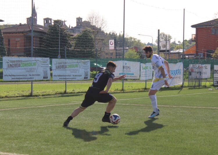 Terre di Castelli-V.Castelfranco: Scarlata