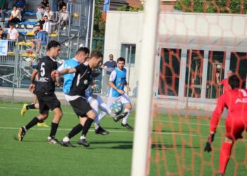 Fox Junior-Atletico Bibbiano Canossa