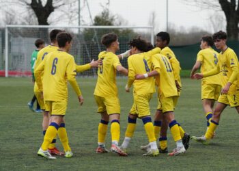 Foto Modena Fc