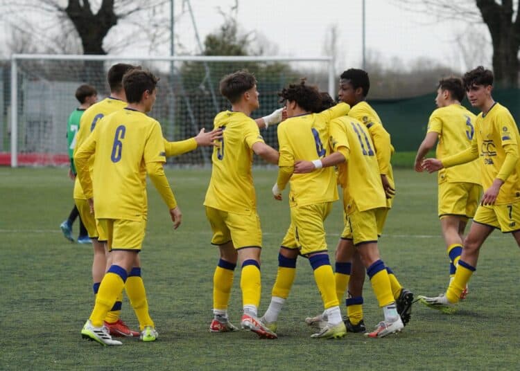 Foto Modena Fc