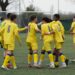 Foto Modena Fc