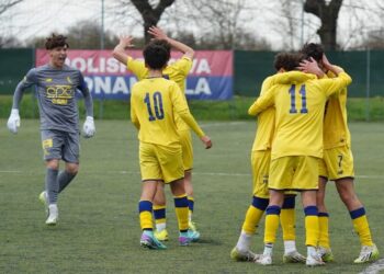 Foto Modena Fc