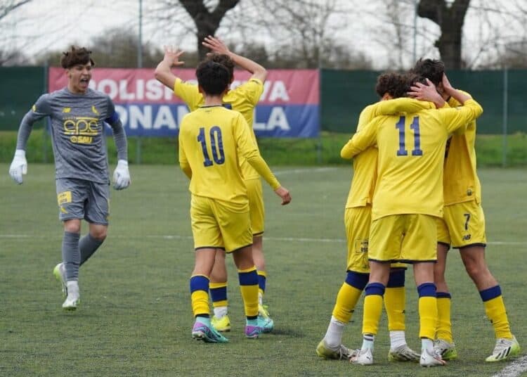 Foto Modena Fc