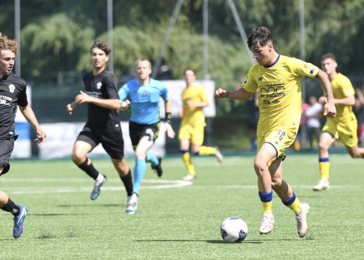 Foto Modena Fc