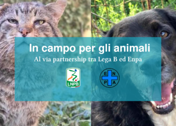 Foto Lega B