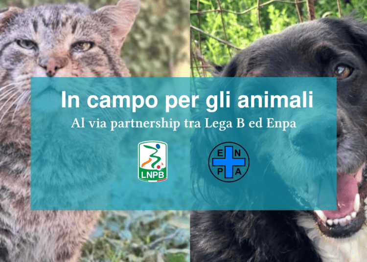 Foto Lega B