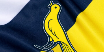 Foto Modena Fc