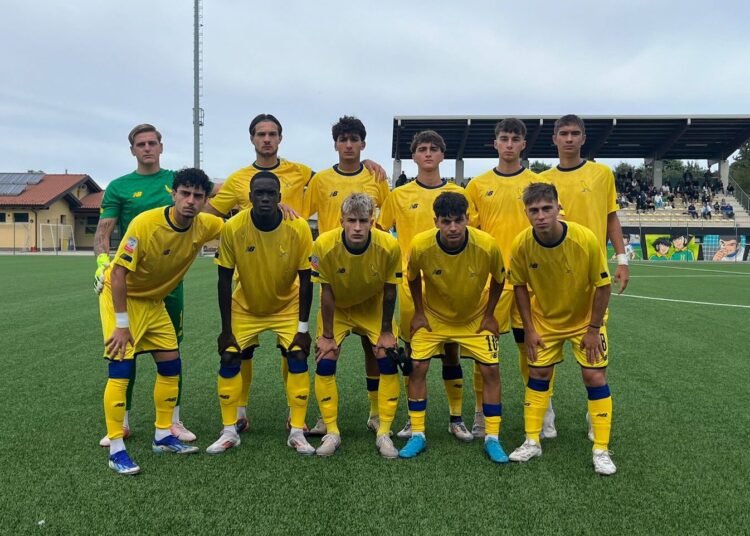 Foto Modena Fc
