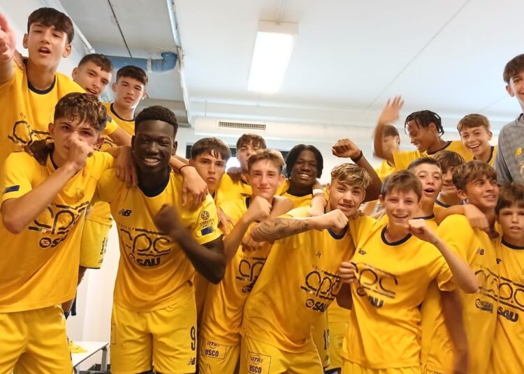 Foto Modena Fc