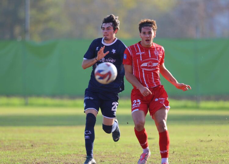 Foto: Cittadella Vis Modena