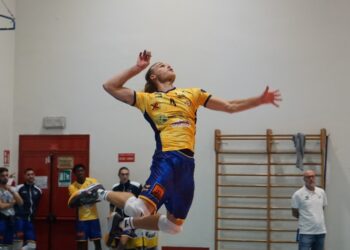 Foto Stadium Mirandola