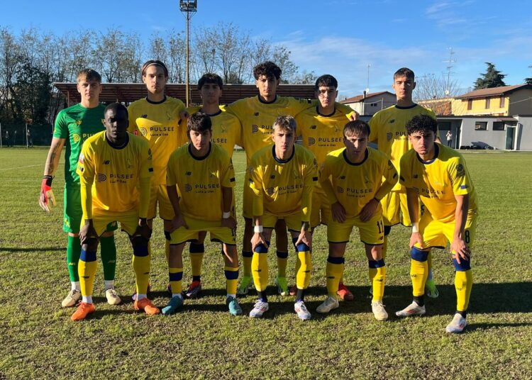 Foto Modena Fc