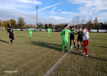 Riese-Virtus Camposanto