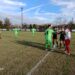 Riese-Virtus Camposanto