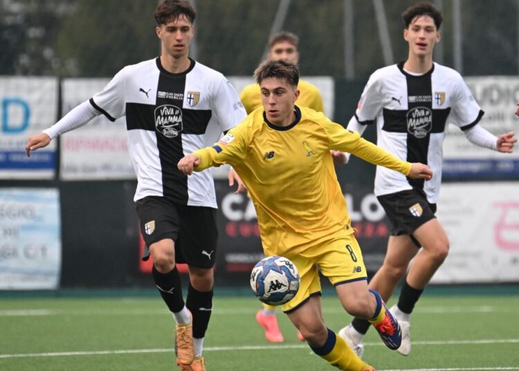 Foto Modena Fc