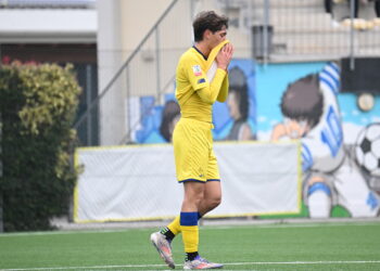 Foto Modena Fc