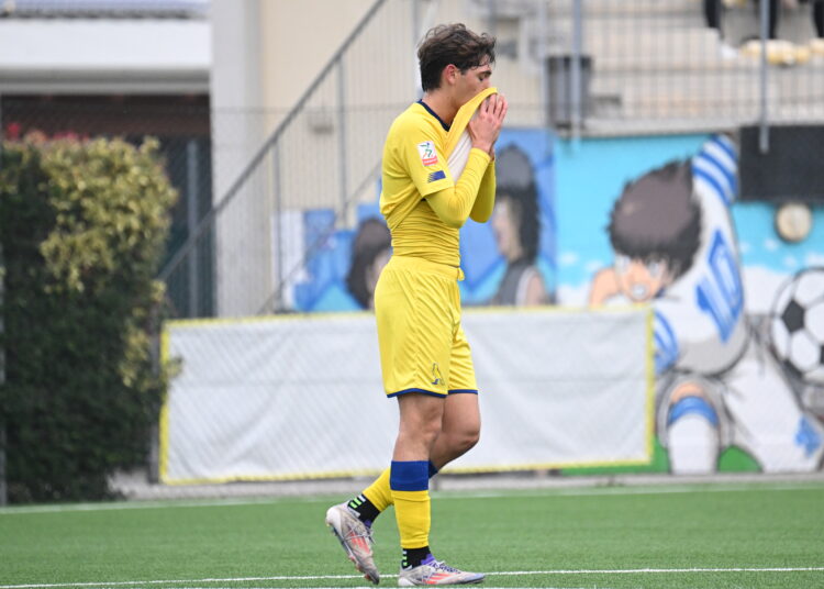 Foto Modena Fc